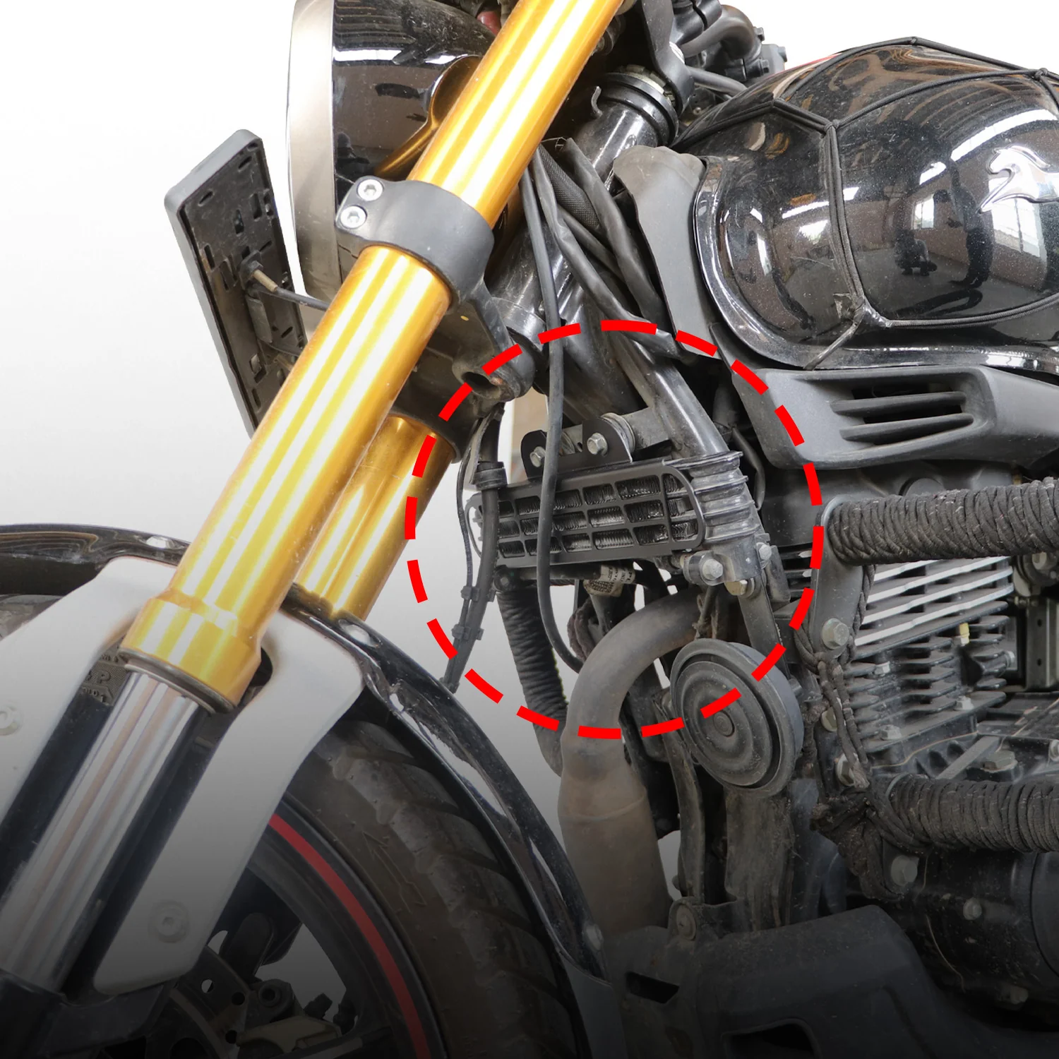 TVS Radiator Guard for Ronin - Image 3